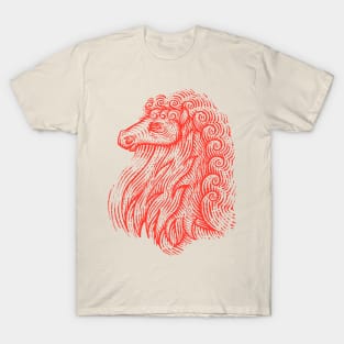 Curly Horse T-Shirt